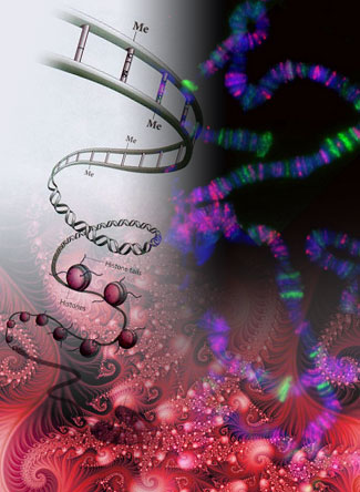 epigenetics