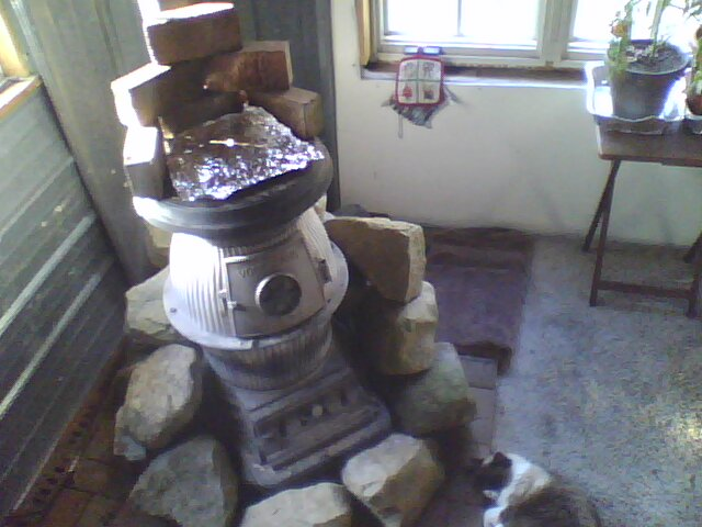 napping cat and other thermal mass