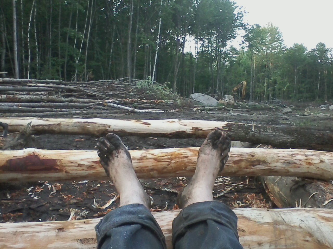 hobbitfeet